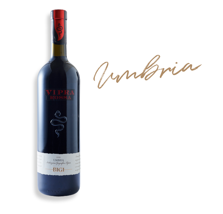 ビジ ヴィプラ ロッソ