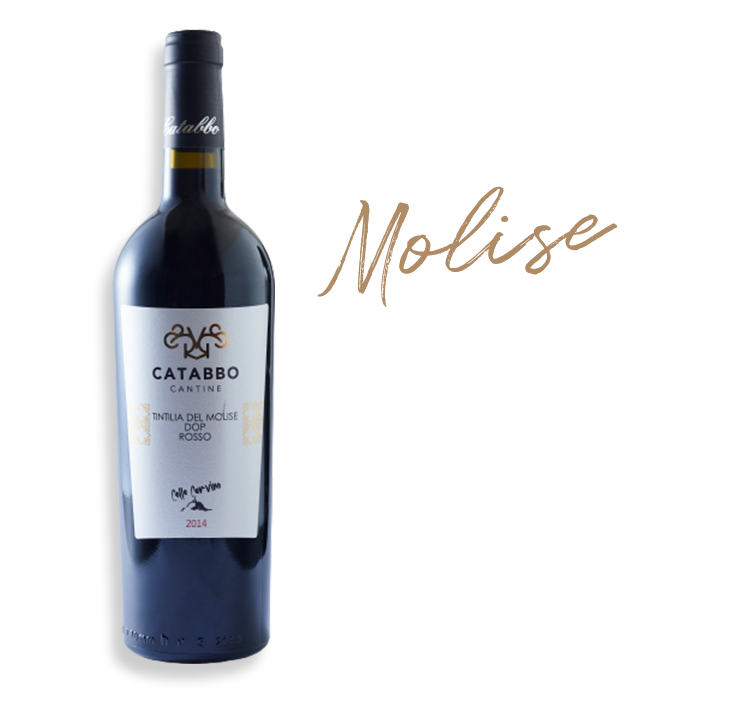 カタッボ ティンティリア