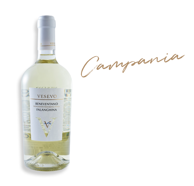 ヴェゼボ ファランギーナ