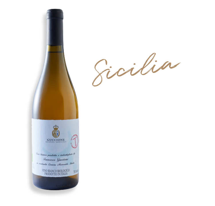 グッチョーネ T トレッビアーノ